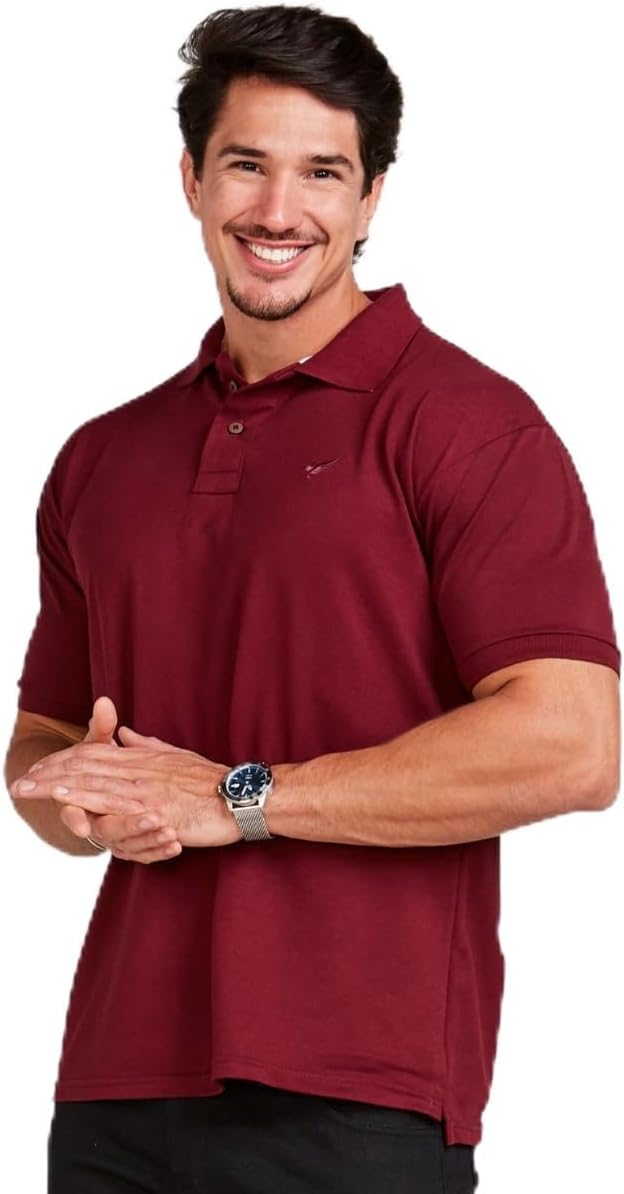 Top 10 Melhores Camisas Polo Masculinas em 2026 (Hering, Malwee e mais) 1