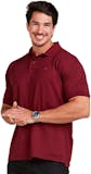 Top 10 Melhores Camisas Polo Masculinas em 2026 (Hering, Malwee e mais) 1