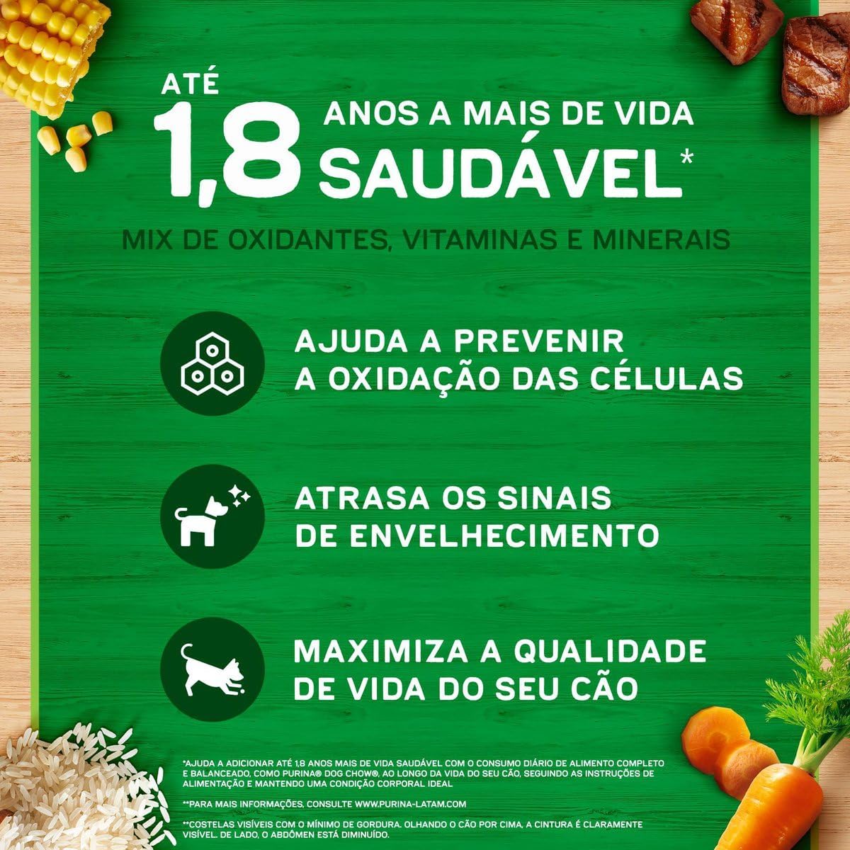 Dog Chow Ração para Cães Adultos Minis e Pequenos 5