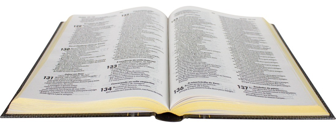 Bíblia Sagrada Almeida Revista e Atualizada  3