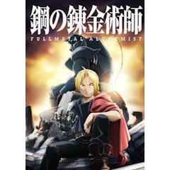 Fullmetal Alchemist Brotherhood (2009)
