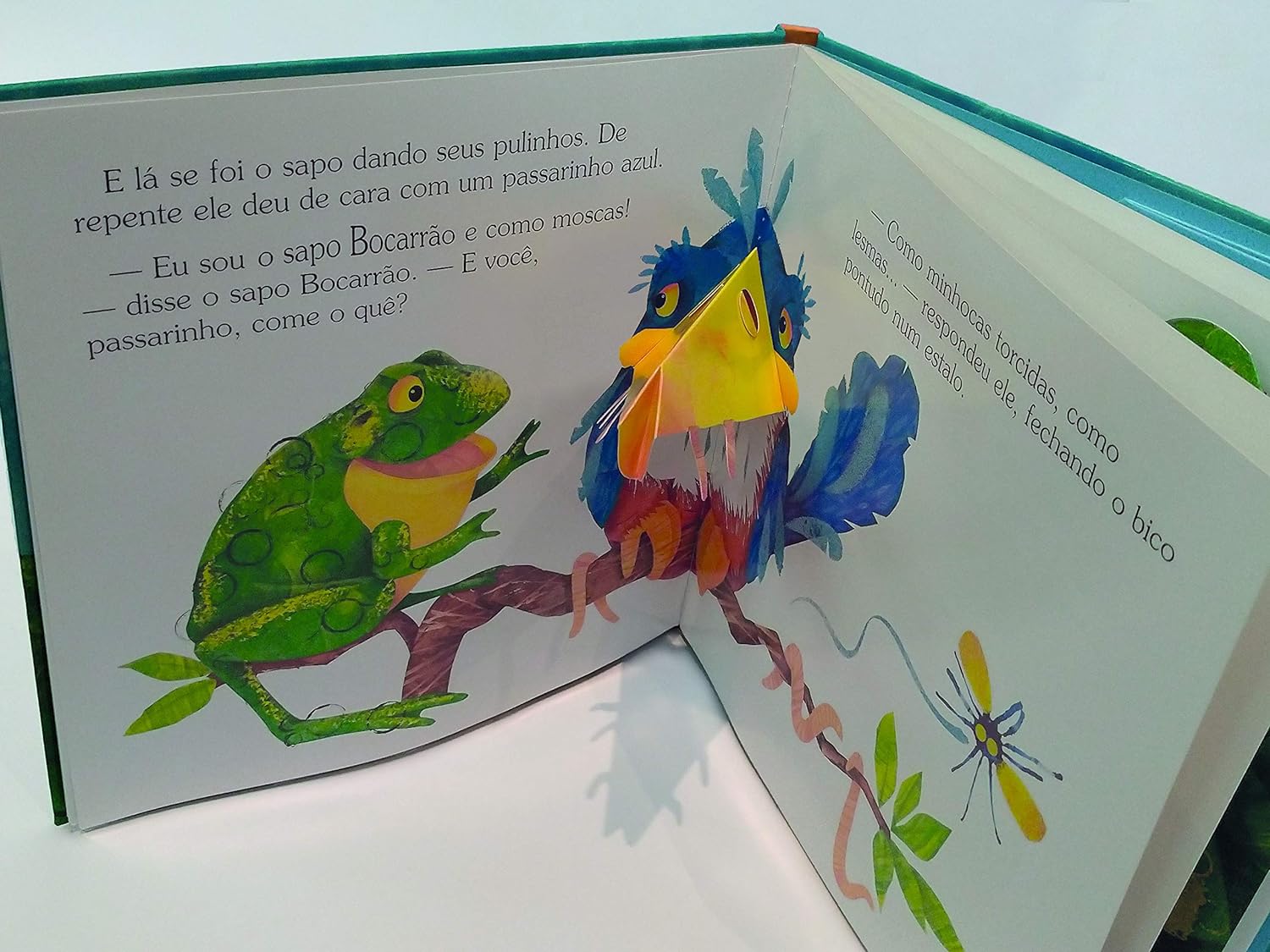 O Sapo Bocarrão 2