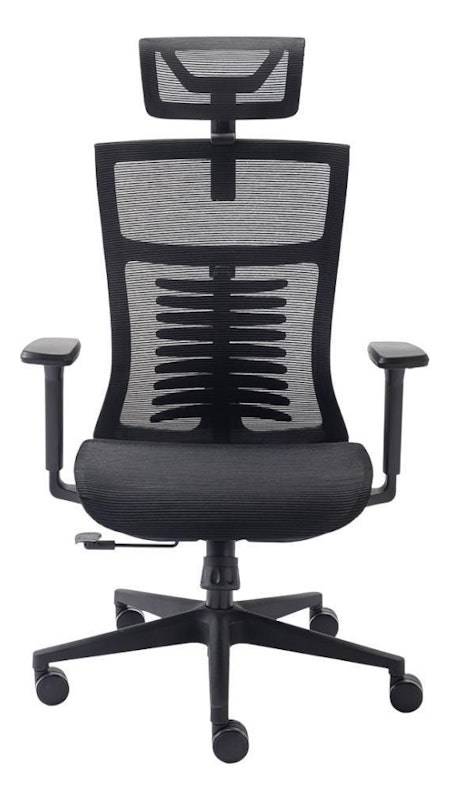 Cadeira Ergonômica Vertta 2