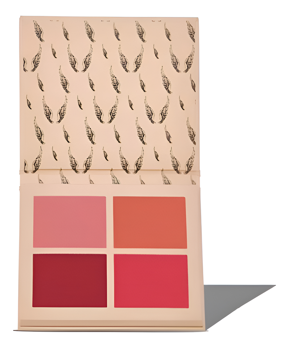 Top 10 Melhores Paletas de Blush em 2026 (Kiss New York, Océane e mais) 5