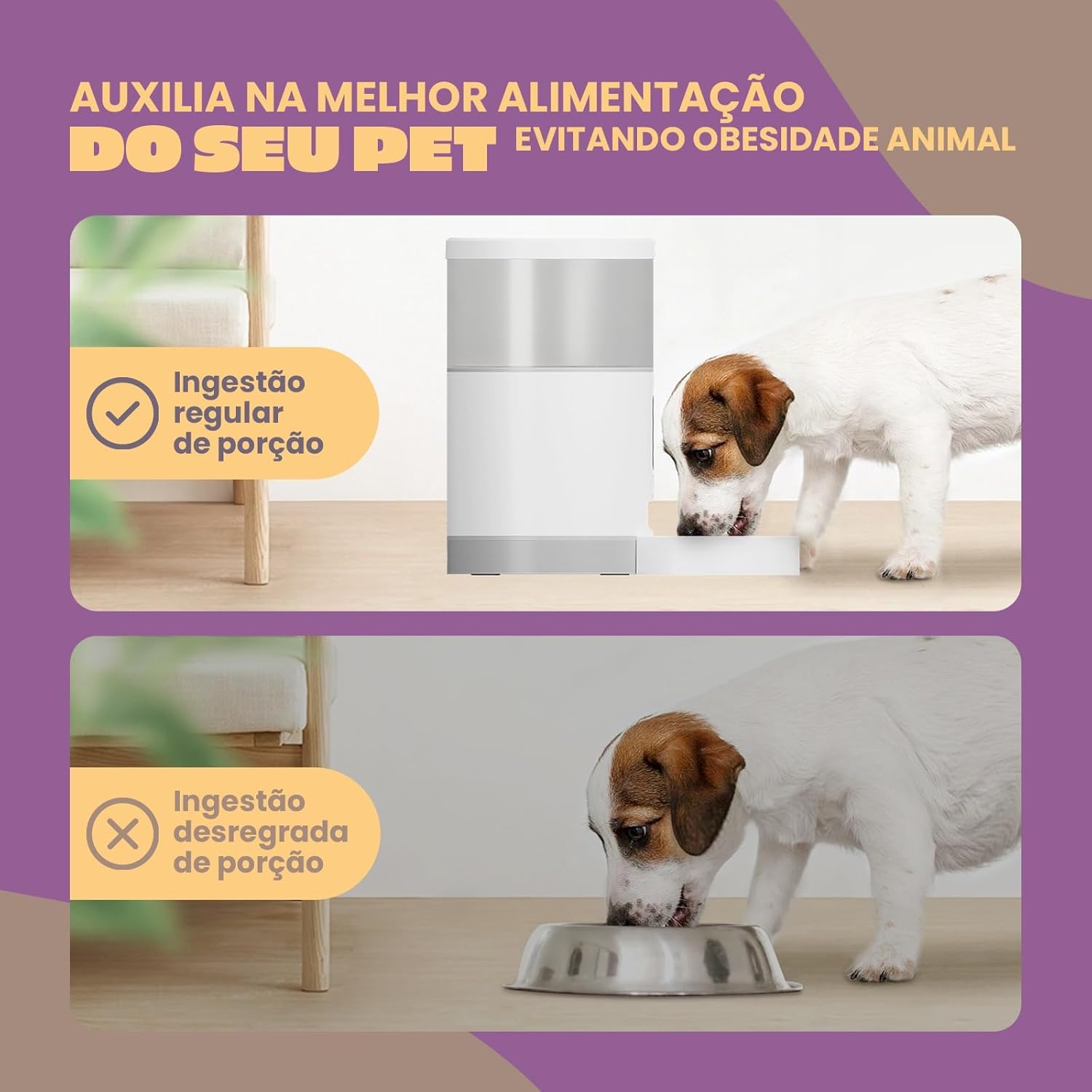 Alimentador Pet Inteligente Animus 4