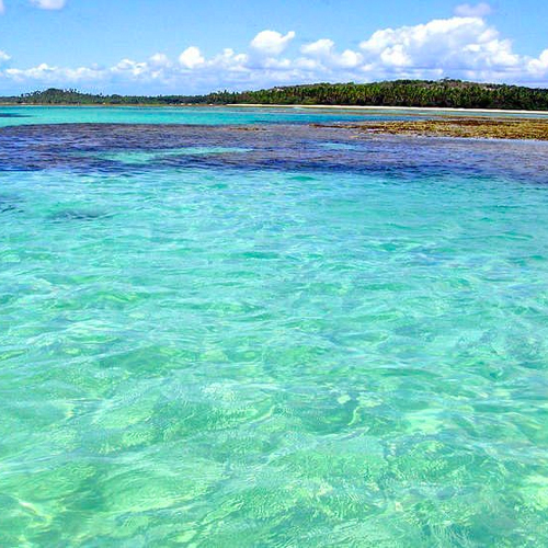 Top 10 Melhores Praias da Bahia em 2026 (Quarta Praia, Moreré e mais) 5