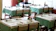 Restaurante Shin Suzuran 1