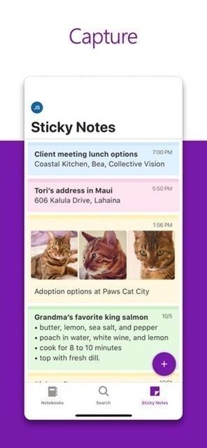 Microsoft OneNote 3