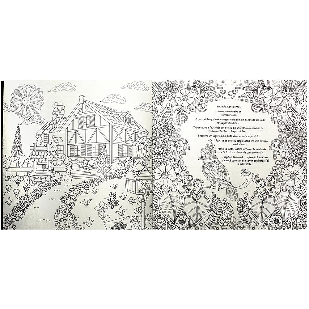Livro de Colorir Antiestresse: Mindfulness 3