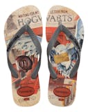 Top 10 Melhores Presentes Harry Potter (Havaianas, LEGO e Warner Bros) 4