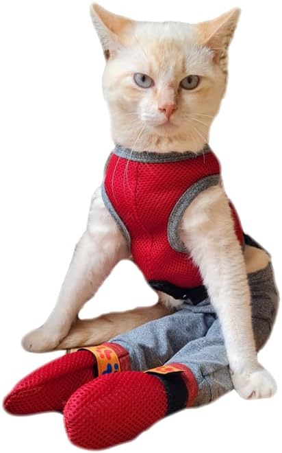Roupa Protetora para Gato Pernas Traseiras 1