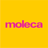Top 10 Melhores Marcas de Sapatos Femininos (Vizzano, Moleca e mais) 2