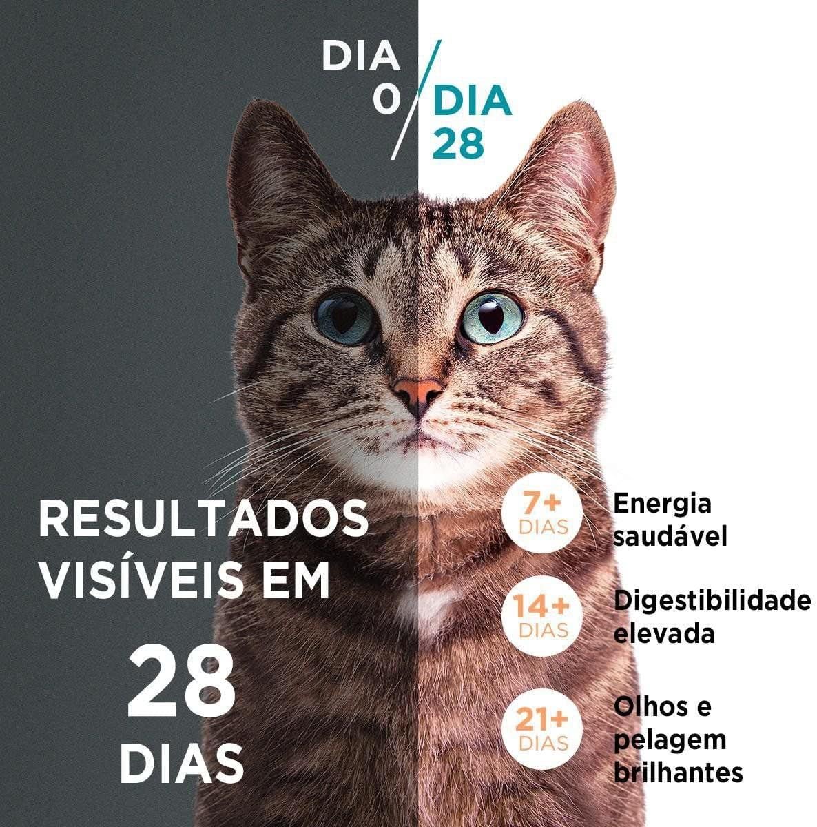 Ração Seca para Gatos Adultos Castrados Todas as Raças Frango e Salmão 2
