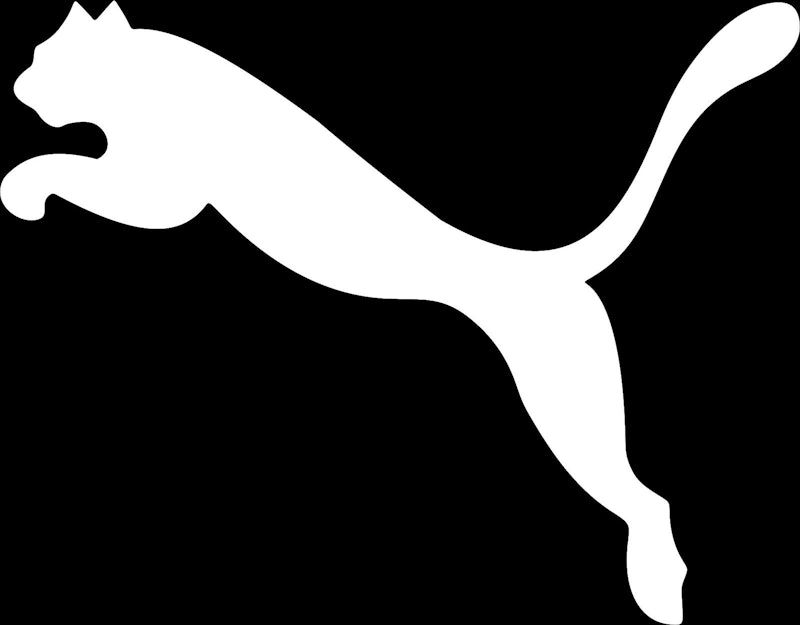 Puma 1