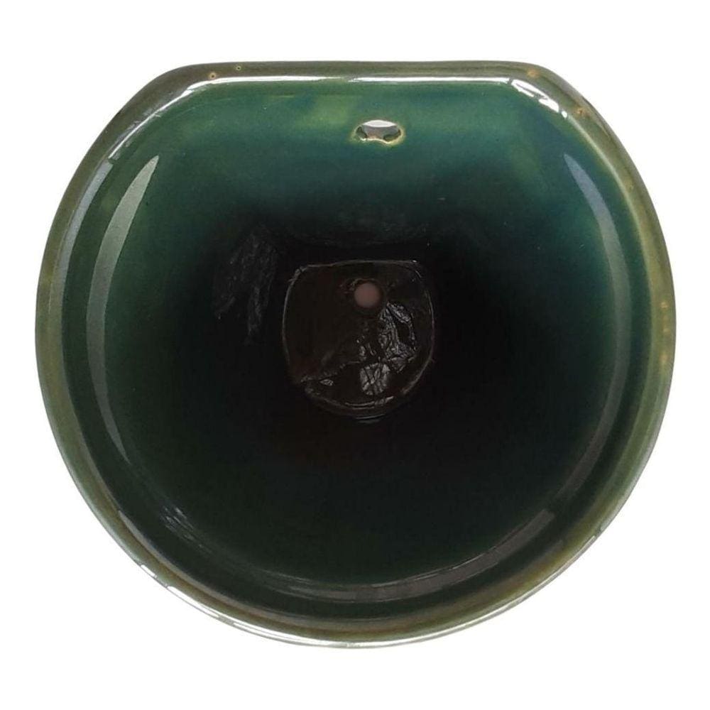 Vaso de Parede Verde Suspenso para Orquídeas 18 x 19 cm 2