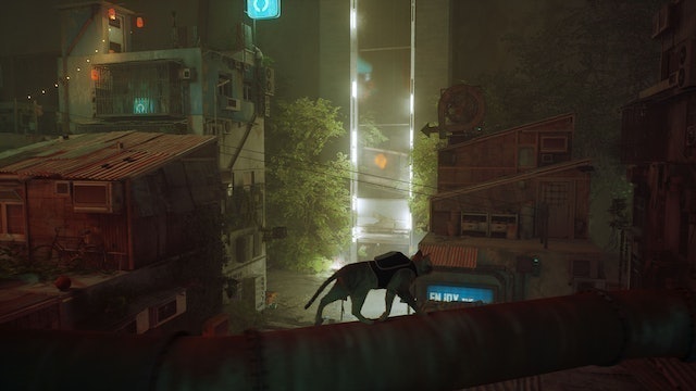 Stray (2022) 5
