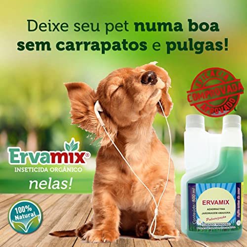 Ervamix Jardinagem Amadora 2