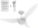 ALISEU Ventilador de Teto Terral Plus com Controle Remoto e Controle de Parede 1