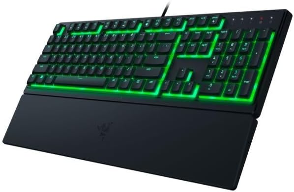 Ornata V3 X  2