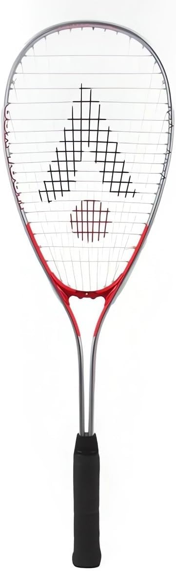 Top 10 Melhores Raquetes de Squash em 2026 (Dunlop, Tecnifibre e mais) 4
