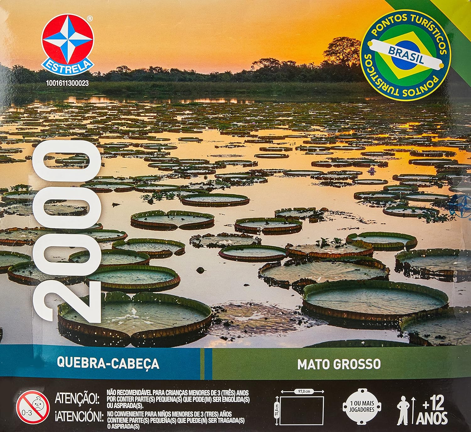 Quebra-Cabeça Mato Grosso 3