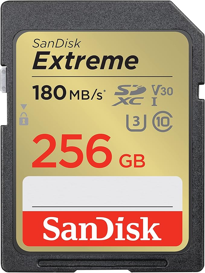Top 10 Melhores Cartões SD em 2026 (Sandisk, Lexar e mais) 5