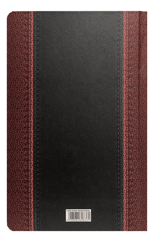 Bíblia de Estudo King James Atualizada Tradicional 2