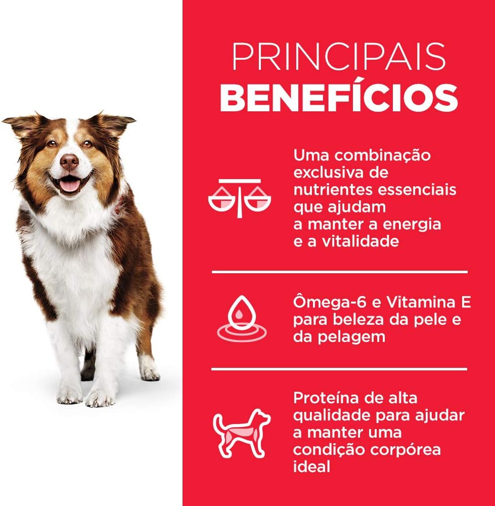 Science Diet Canino Adulto 7+ 4