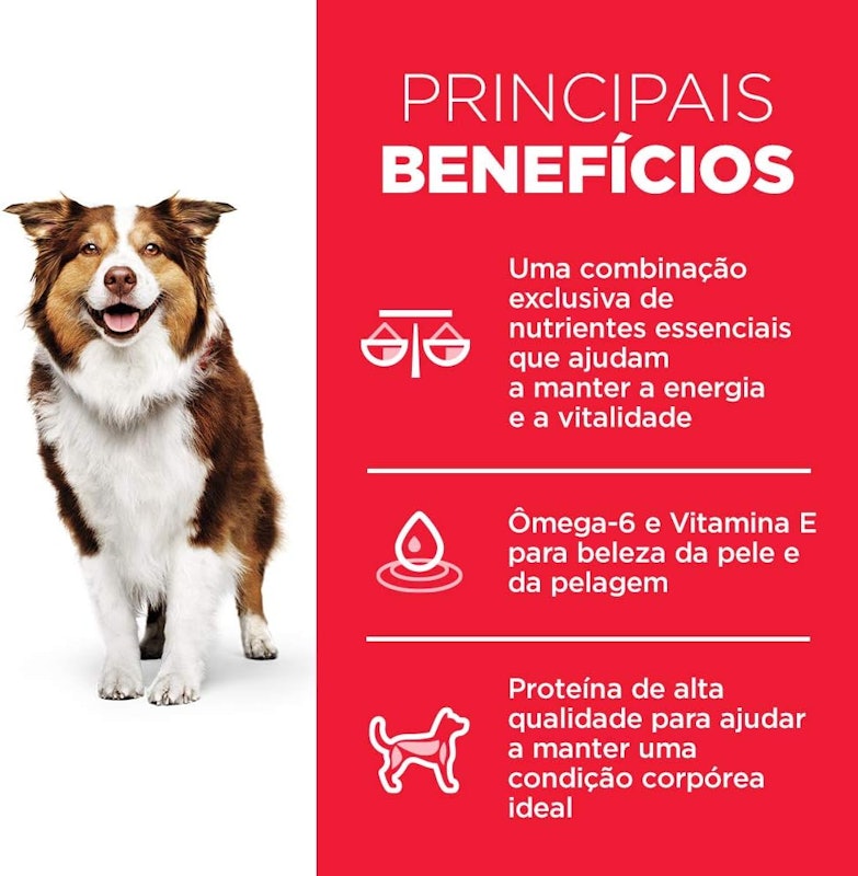 Science Diet Canino Adulto 7+ 4