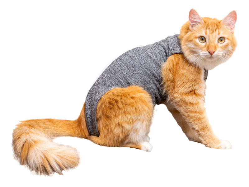 Roupa Pós-Cirúrgica para Gatos 1