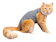 PET DESIGNER Roupa Pós-Cirúrgica para Gatos 1