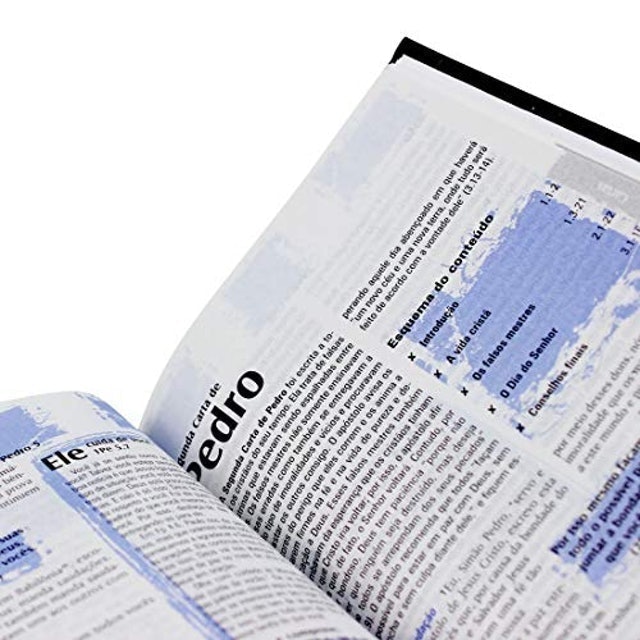 Bíblia Sagrada NTLH com Notas para Jovens 2