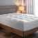 BUDDEMEYER Pillow Top Vision Fill Gold Solteiro 1