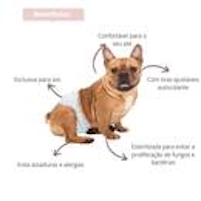 Fralda Faixa Higiênica para Cães Macho Dog's Care 4