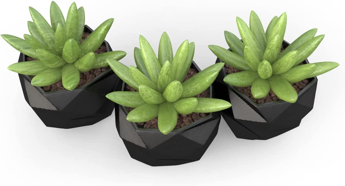Kit Vaso Para Suculentas Mini Mesh 2