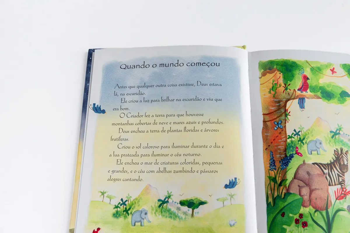 Bíblia Thomas Nelson para Crianças - Versão Gift 3