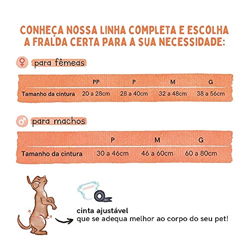Fralda Higiênica Descartável Diaper 2