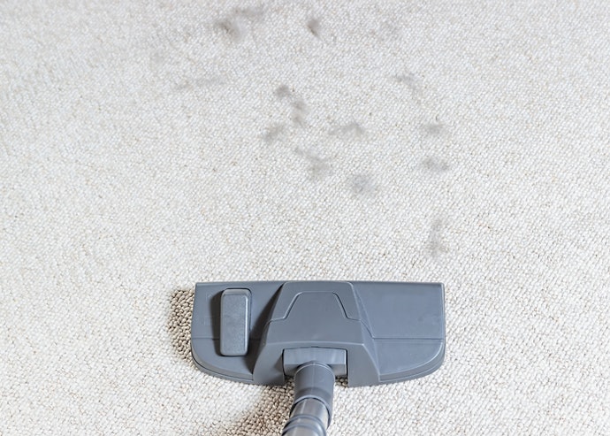 Para Remover Pelos de Animais ou Limpar Tapetes Grossos, Escolha Modelos com 130 mbar ou Mais