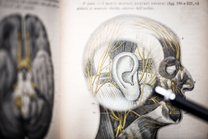 Escolha um Atlas de Anatomia Geral ou de Regiões Específicas do Corpo