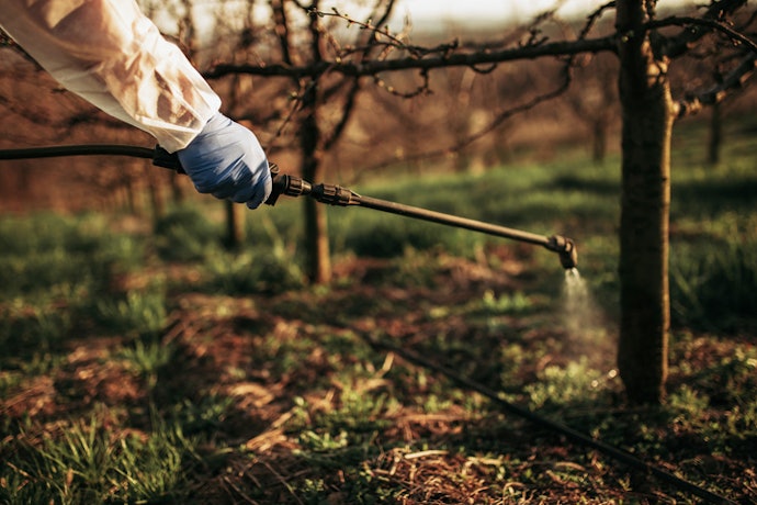 Para Jardins Recém Feitos e Terrenos Limpos, Busque Herbicidas Pré-Emergentes