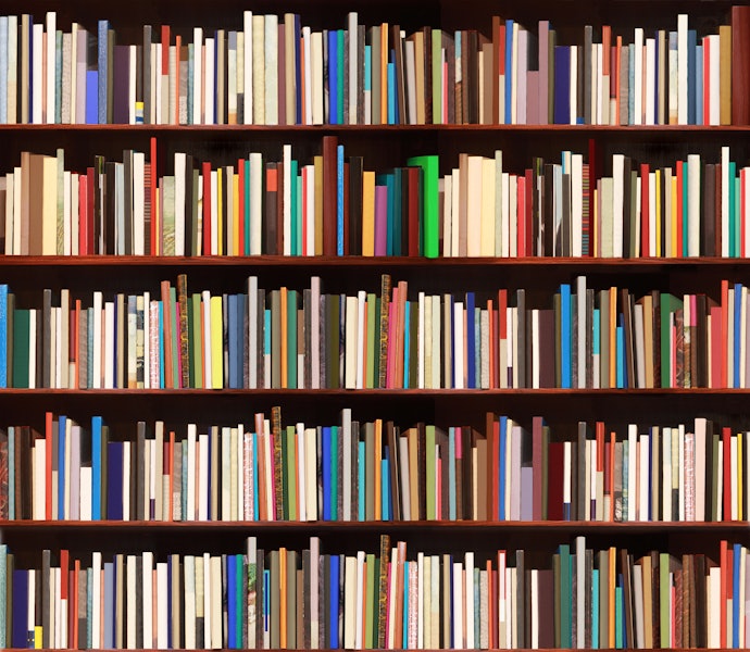 Conheça o Estilo do Autor ao Escolher o Livro Clássico da Literatura Brasileira