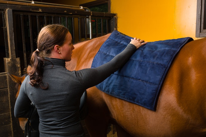Preserve a Saúde Física do Seu Cavalo com Mantas Feitas com Materiais Confortáveis