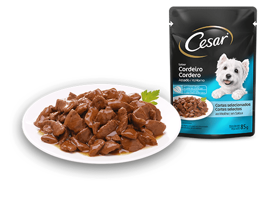 Veja o Tipo de Embalagem e o Peso Líquido da Ração Úmida para Cães