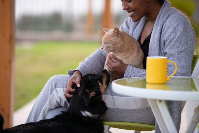 Apoie a Causa Animal: Considere um Cosmético Vegano e Cruelty-Free