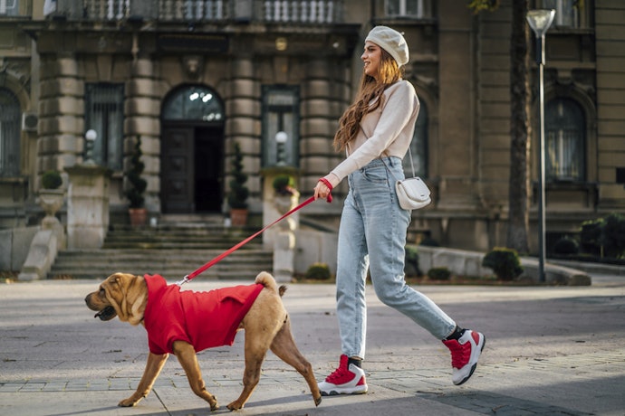 Para Uso Prolongado, Escolha Roupas para Pets de Tecidos Macios, como Algodão