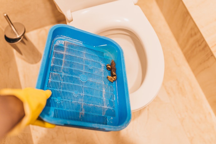 Para Facilitar a Manutenção, Prefira Sanitários Caninos com Bandejas