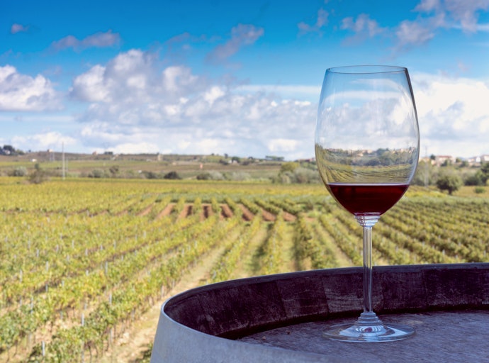 A Região Produtora do Vinho Syrah Influencia o Sabor e Aroma