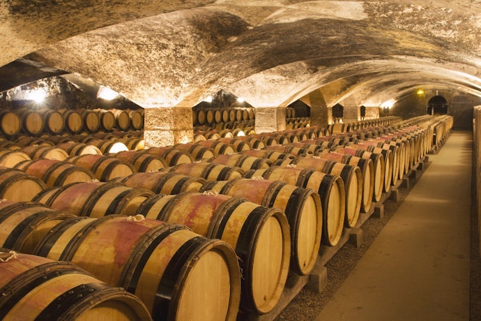 Observe o Ano e o Tipo de Maturação ao Escolher um Vinho Francês