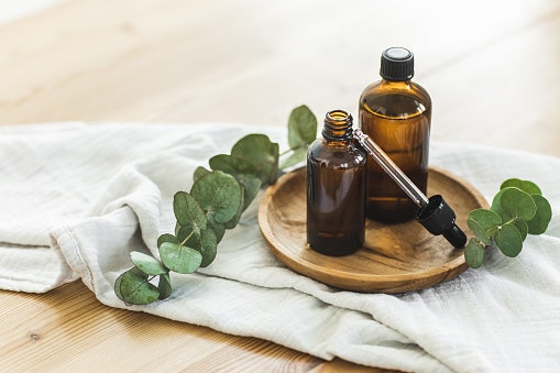 A Família Olfativa Floral É a Mais Comum nas Fragrâncias Femininas