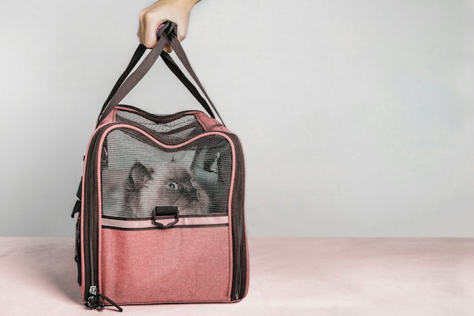 Prefira Bolsa de Transporte Pet com Materiais de Qualidade para Garantir Durabilidade